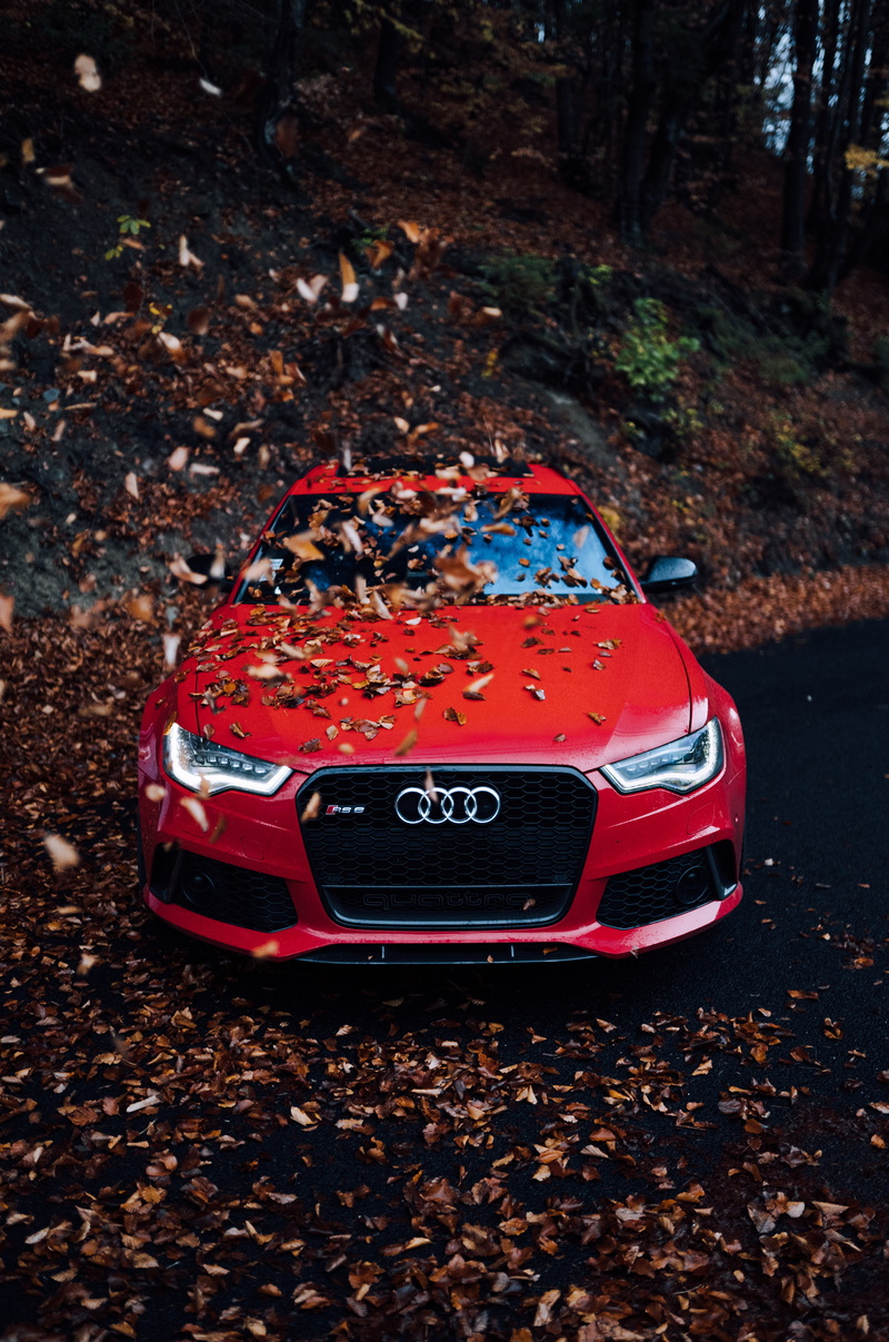 front view, car, autumn, red, 5K, bumper, audi, foliage