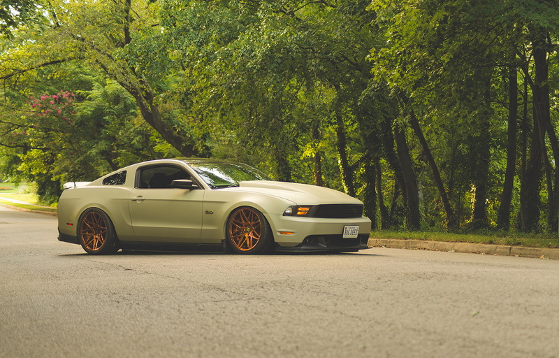 1080P, luxury, city, growth, nature, no people, green color, Ford Mustang, plant, sunlight, muscle cars, road, transportation, ford, lowrider, trees, day