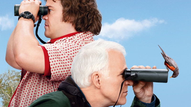 Steve Martin, 1080P, Movie, Jack Black, The Big Year