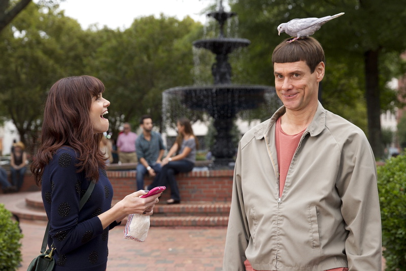 humor, 1080P, dumber, comedy, family, funny, dumb