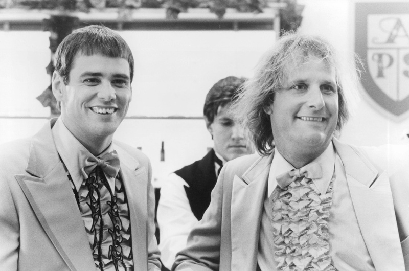 comedy, dumber, humor, dumb, funny, 1080P, family