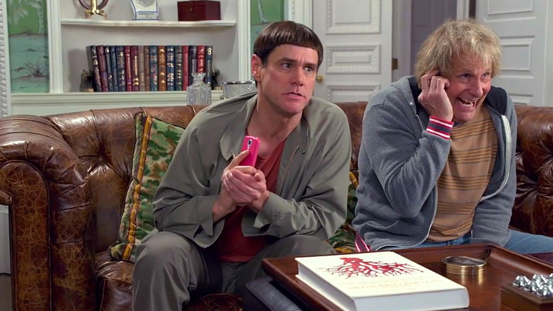 dumber, 1080P, family, humor, dumb, comedy, funny