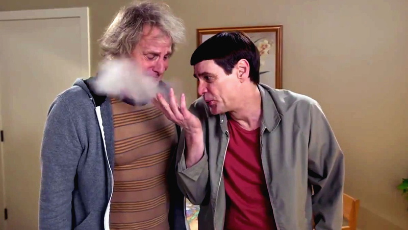 1080P, funny, family, dumber, comedy, humor, dumb