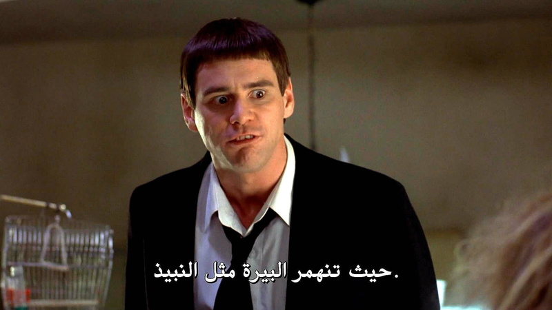 dumber, family, comedy, 1080P, humor, dumb, funny