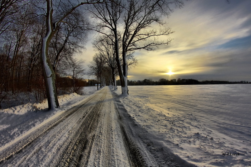 winter, sunset, white, forest, weather, outdoors, woodland, landscape, crust, sunlight, road, diminishing perspective, rural Scene, frozen, sky, land, tree