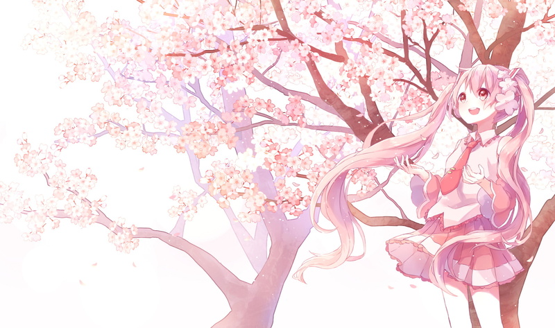 1080P, Vocaloid, Anime, Sakura Miku