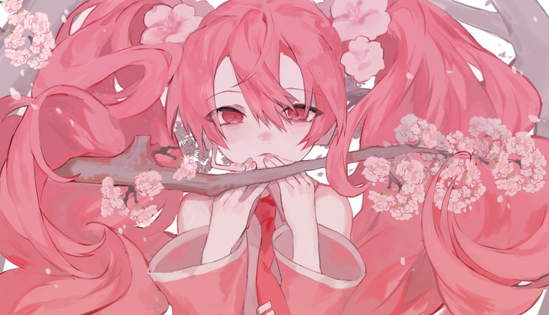 Sakura Miku, Vocaloid, Anime, 1080P