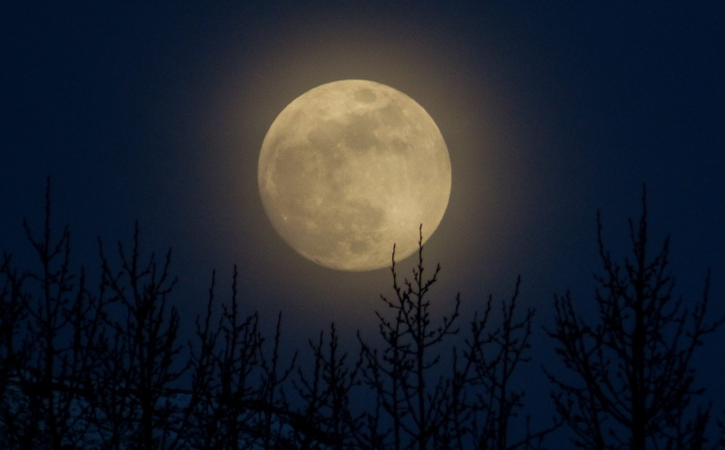 geometric shape, tree, planetary moon, sky, moonlight, 4K, full moon, no people, low angle view, outdoor, glow, plant, canada, scenics - nature, foggy