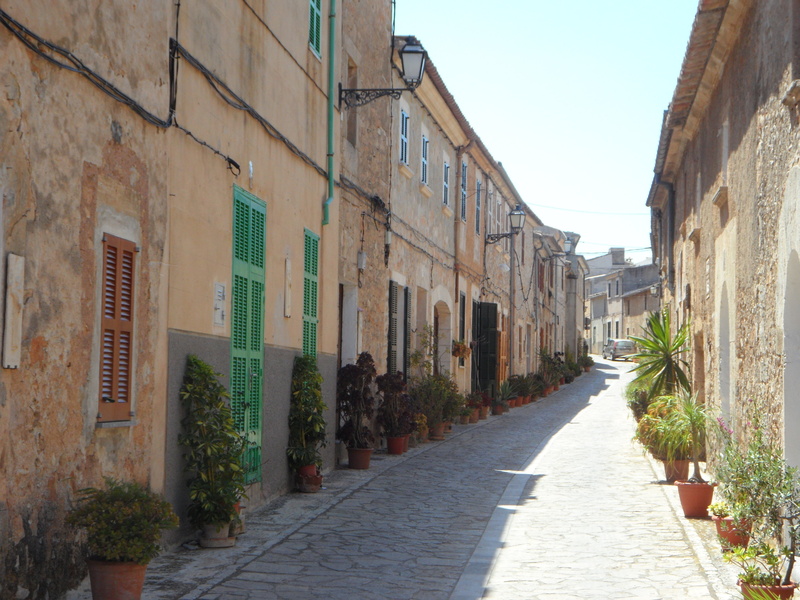houses fronts, built structure, holiday, residential district, facade, narrow, homes, diminishing perspective, direction, city view, potted plant, long