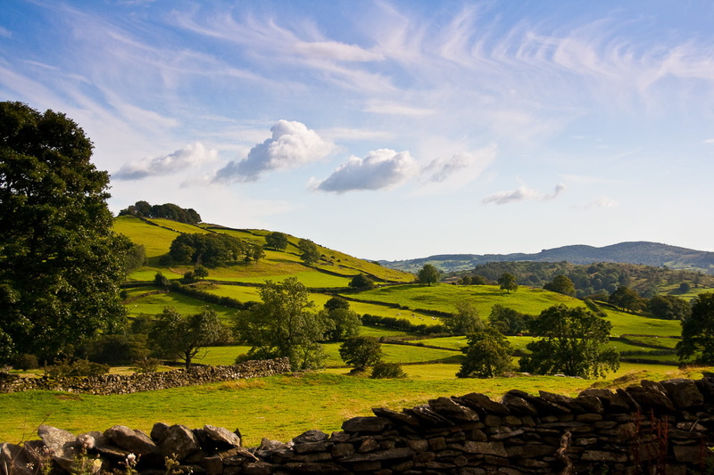 grass, mountain, trees, stone wall, field, Lake District, green field, meadow, outdoors, summer, Landscape, hill, scenics, green Color, EOS 400D, pasture