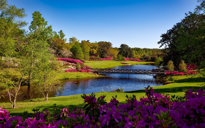 shrubs, landscape, tranquil scene, plant, green color, outside, springtime, tranquility, alabama, sky, daytime, flowering plant, scenics - nature, park - man made space