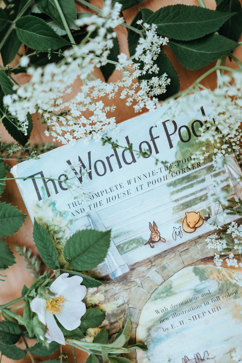 communication, winnie, growth, nature, western script, vintage, food, finance, stem, bear, branch, flatlay, pool, flowers, winnie the pooh, flower, leaf