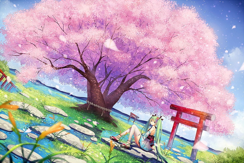 miku, cherry, green, tidsean, clothes, 720P, grass, blossoms, water, torii, hair, long, japanese, vocaloid, hatsune, petals, thighhighs, twintails