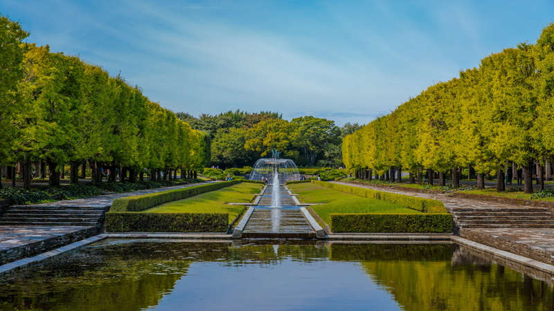 nature, green color, autumn, hedge, formal garden, diminishing perspective, architecture, park, reflecting pool, garden, tranquil scene, treelined, outdoors