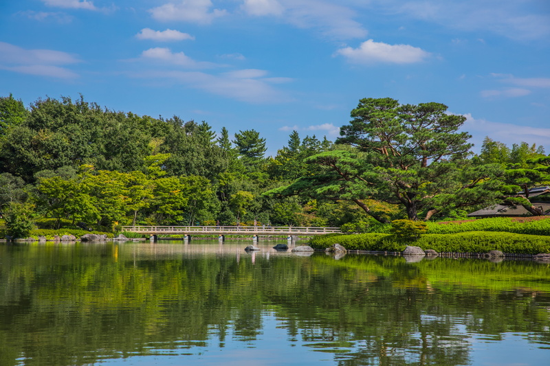 japan, showa kinen park, waterfront, bridge, outdoors, nature, lake, day, cloud - sky, sky, group of animals, scenics - nature, tree, water, 5K, growth