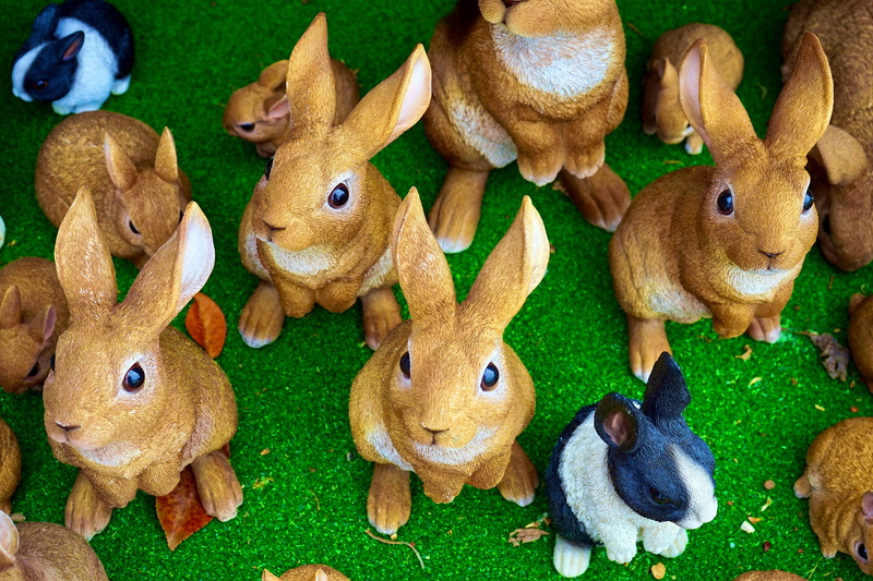 easter, representation, indoors, young, no people, high angle view, decoration, still life, brown, summer, furry, small, celebration, holiday, wildlife
