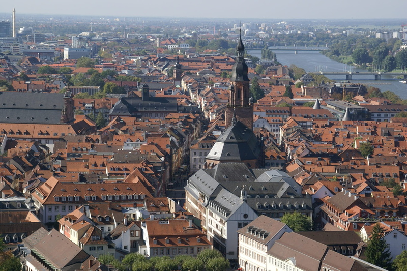 day, house, germany, spire, travel destinations, town, community, river, cityscape, built structure, 1080P, heidelberg, crowded, roof, crowd, travel, building