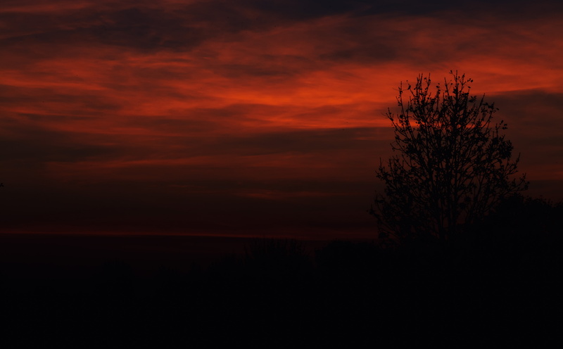silhouette, growth, ladenburg, Color, land, Nature, scenics - nature, Sunset, november, orange color, environment, red, Evening, song, itunes, Dark, Photography