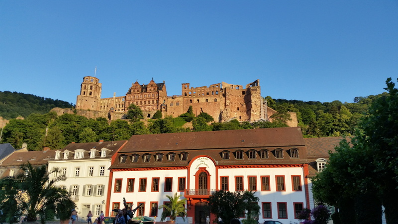 nature, tree, travel destinations, architecture, clear sky, plant, history, building, tourism, travel, sky, heidelberg, city, day, building exterior, built structure