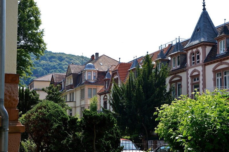 day, building exterior, castle, exterior, sky, built structure, Heidelberg, buildings, house, home, balconies, street, low angle view, bushes, chimneys