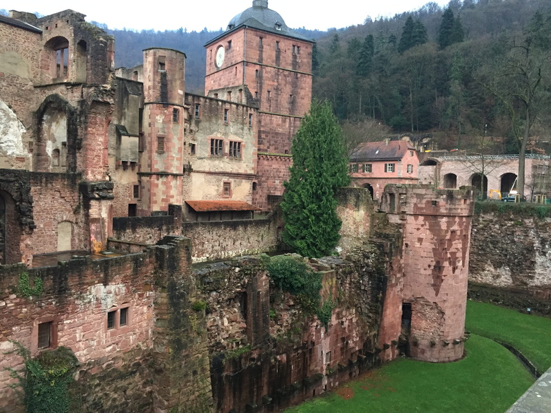wall, architecture And Buildings, ancient, fortress, old ruin, fort, heidelberg, old, ancient civilization, plant, outdoors, Schloss, Castle, architecture