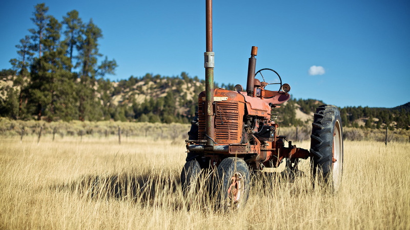 tool, farm machine, nature, day, wheel, vehicle, landscape, device, grass, focus on foreground, plant, road, machine, rural scene, antique, agriculture