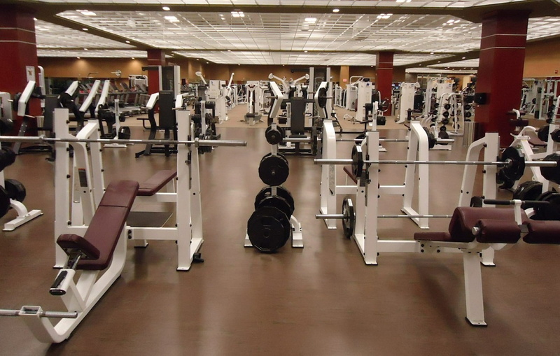 health club, machines, gym, equipment, adult, exercise machine, exercising, sport, weights, sports, interior, sports training, muscular build, weight training
