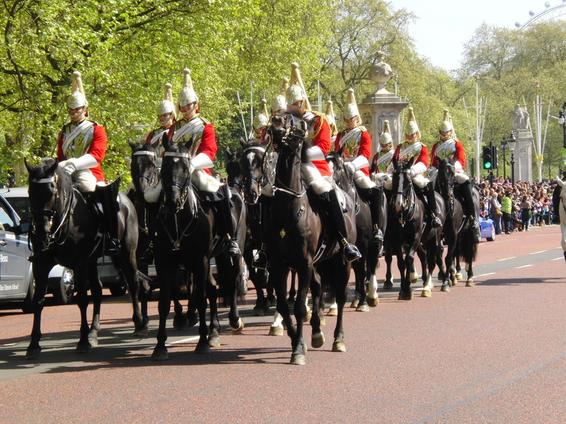 domestic animals, plant, crowd, 2K, real people, group of people, government, outdoors, horseback riding, parade, livestock, tree, united kingdom, england