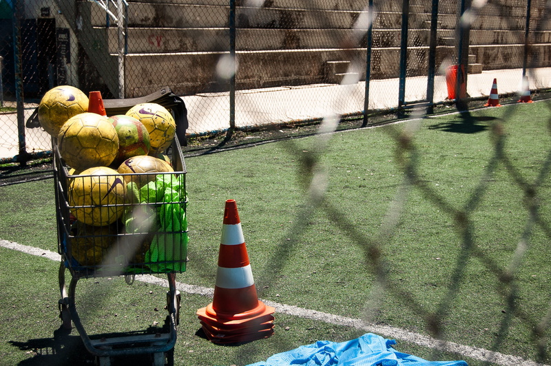 vertebrate, beside, food, shadow, nature, perching, traffic, grass, balls, crash helmet, helmet, animal themes, 2K, security, safety, fence, melon, bird