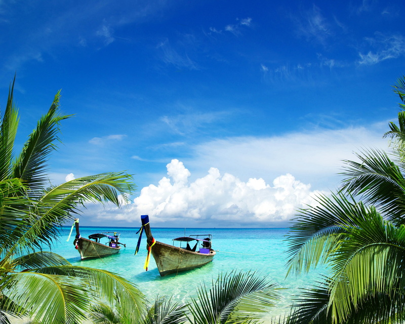 tropical climate, sea, pickup, landscape, single, transportation, tranquil scene, travel destinations, no people, truck, trip, palm leaf, water, outdoors