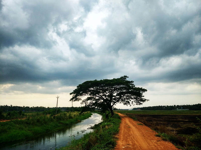 monsoon, road, no people, plant, rains, outdoors, beauty in nature, direction, environment, field, growth, sky, scenics - nature, land, india, transportation