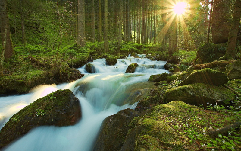 moss, forest, sun, blurred motion, rock - object, no people, long exposure, tranquility, plant, flowing, scenics - nature, water, lens flare, body, nature