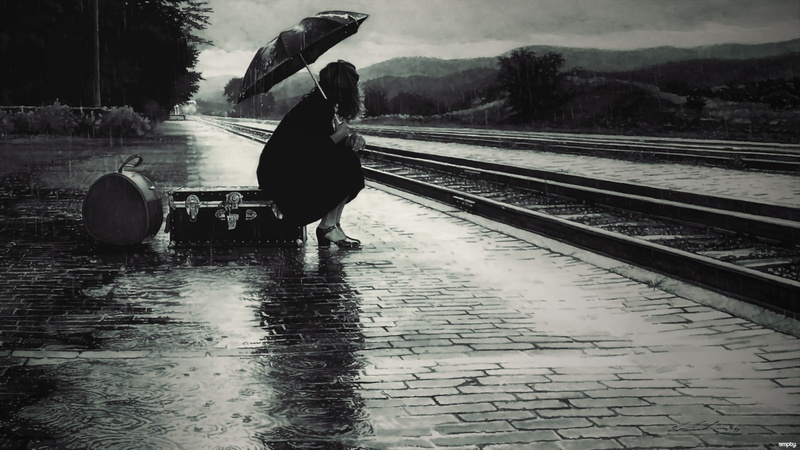 animal, 1080P, wet, track, people, bird, women, vertebrate, outdoors, one person, railroad track, rainy season, water, rail transportation, mode of transportation