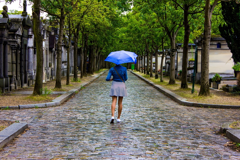 plant, women, adult, tree, rainy season, lifestyles, protection, France, rear view, one person, the way forward, footpath, water, monsoon, diminishing perspective