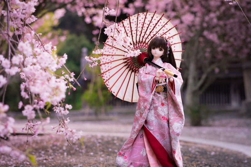 Japanese, umbrella, 1080P, doll, Sakura, kimono