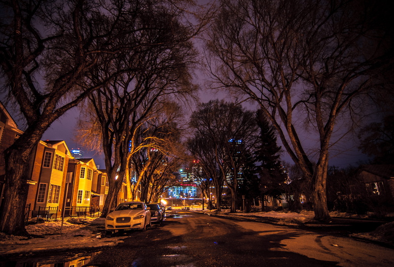 alberta, river, 4K, plant, edmonton, canada, tree, snow, weather, season, downtown, cars, nature, no people, ice, city, illuminated, winter, building