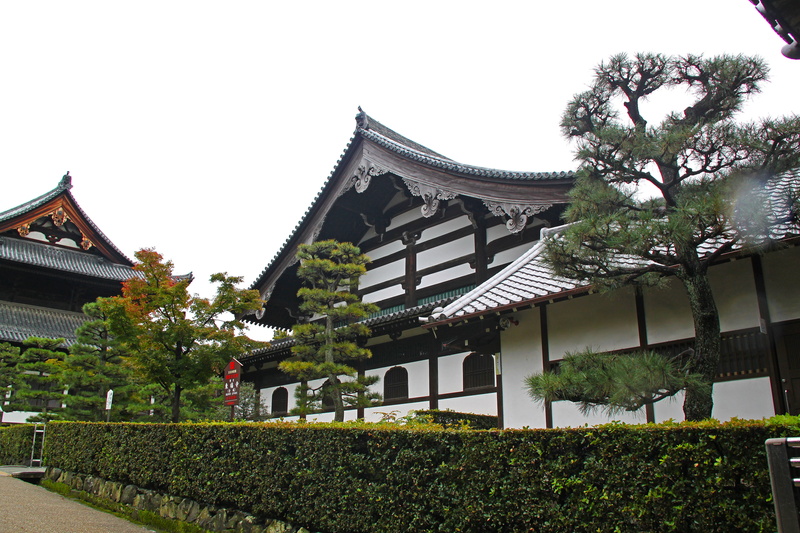 white, architectural, roof, sky, growth, tree, kyoto Prefecture, kyoto, green color, east Asian Culture, trees, kyoto City, cultures, outdoors, 4K, spirituality