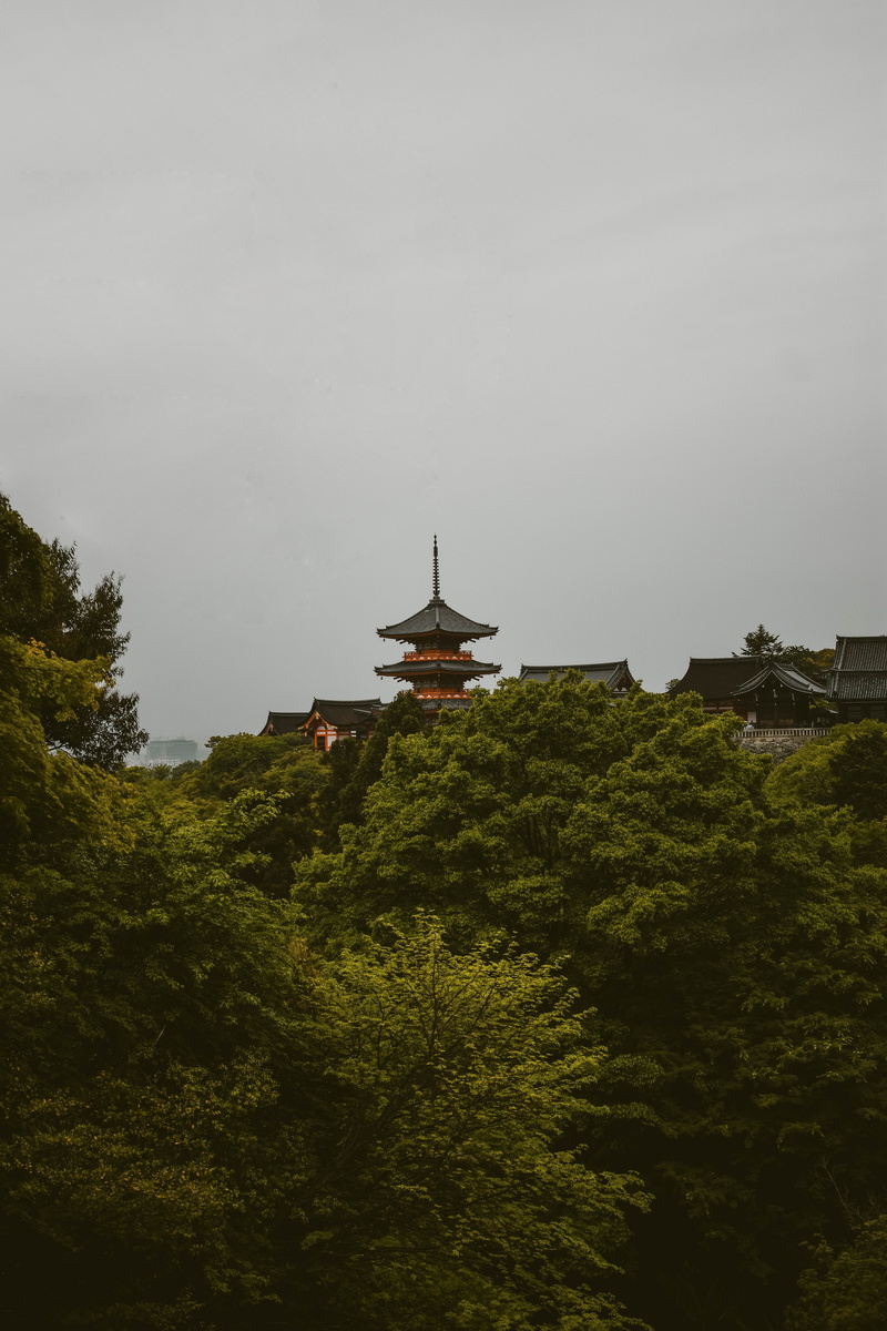 pagoda, growth, no people, tree, green color, built structure, 5K, religion, low angle view, belief, plant, spirituality, architecture, cloud - sky, spire