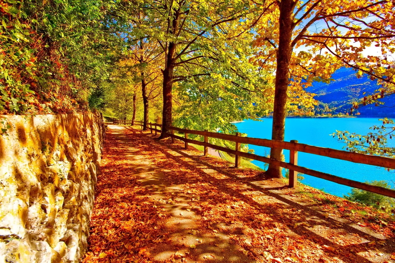 rail, trunk, season, park - Man Made Space, sunlight, lake, landscape, footpath, sky, lush Foliage, travel, nature, multi Colored, woodland, fall, colors