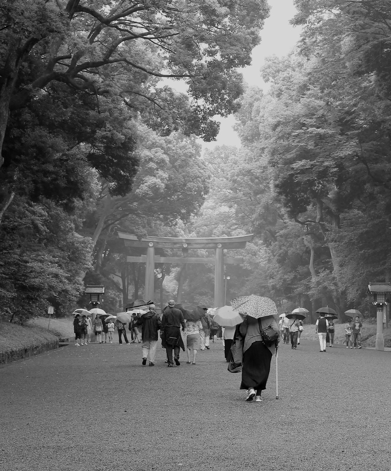 landscape, rainy season, street, rain, real people, women, day, plant, pagoda, city, 8K, japan, group of people, kyoto, devout, large group of people