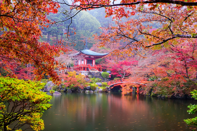 japanese Fall Foliage, Japan, leafed, multi Colored, Park, no people, leaves, tokyo Prefecture, nature, chinese Culture, green, japanese Garden, pavilion