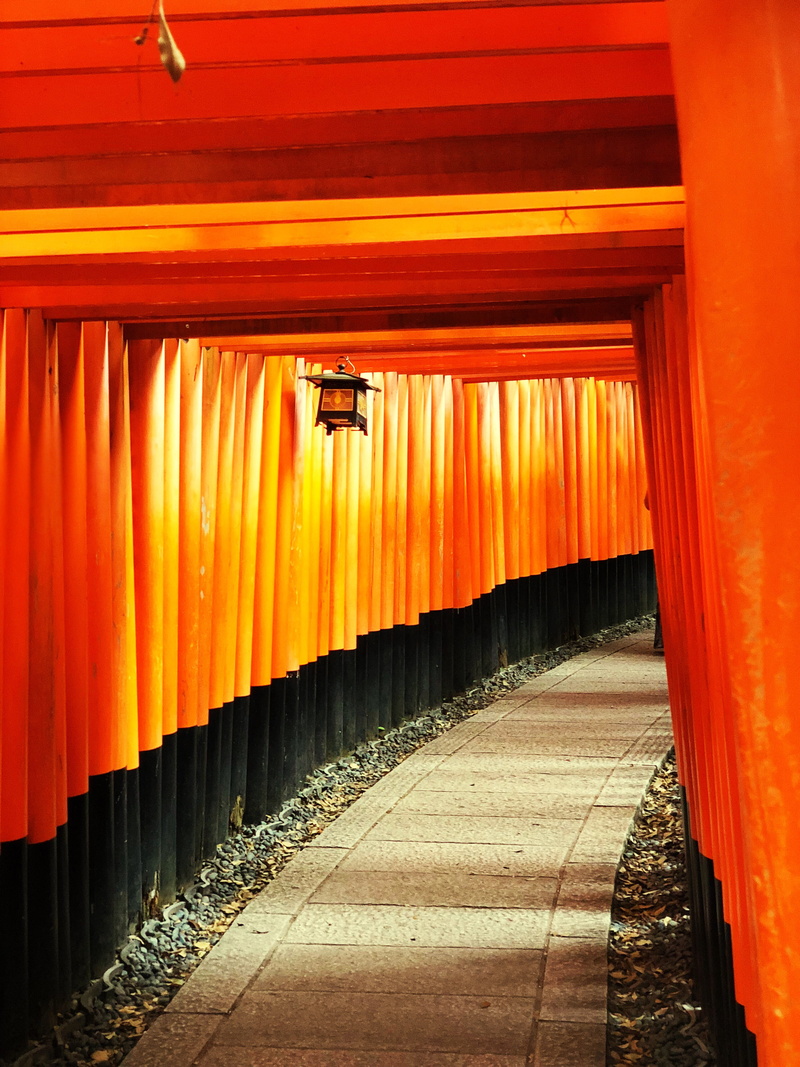 footpath, parthenon, railing, vanishing point, worship, building, shrine, turnstile, kennel, direction, architecture, kyoto, outdoors, gate, diminishing perspective