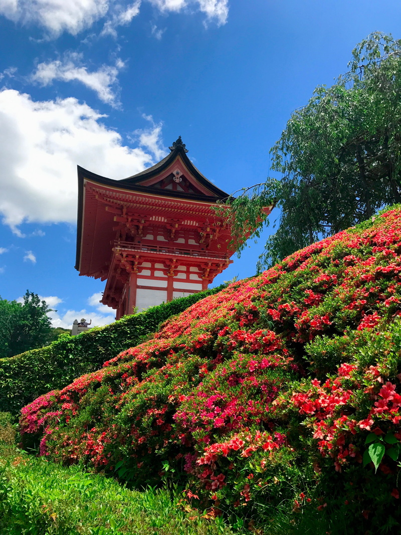 trees, outdoors, tree, grass, religion, cloud - sky, sky, plant, no people, day, temple, beauty, red, building, architecture, building exterior, peace