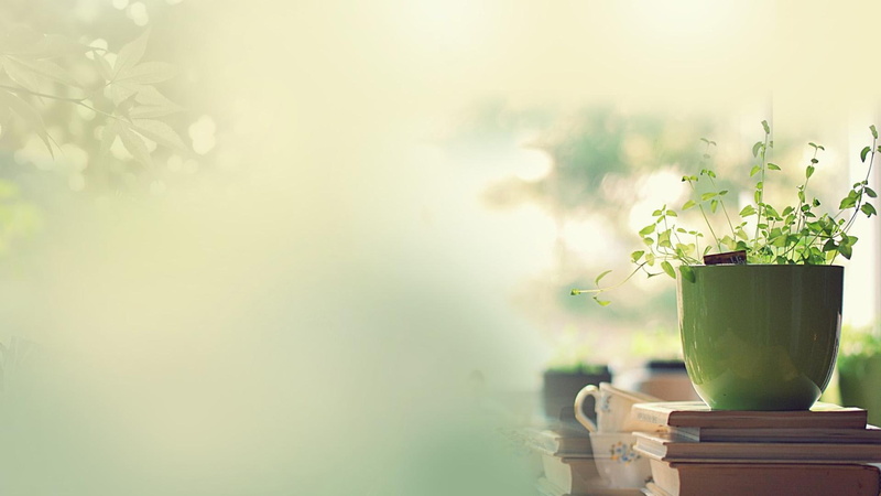 house, seductive, 1080P, plants, desktop