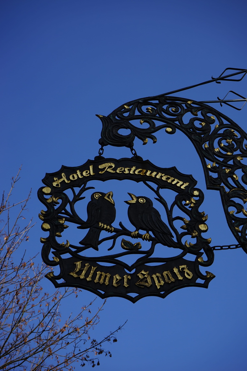 guest house shield, advertising, ornaments, advertising sign, craft, creativity, nasal shield, sparrows, blue, gilded, architecture, 5K, communication