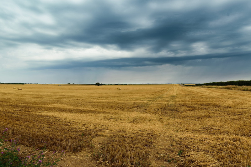 horizon, cloud - sky, grass, bread, autumn, horizon over land, light, clear, outdoor, rain, crop, space, countryside, tranquility, details, view, traditional