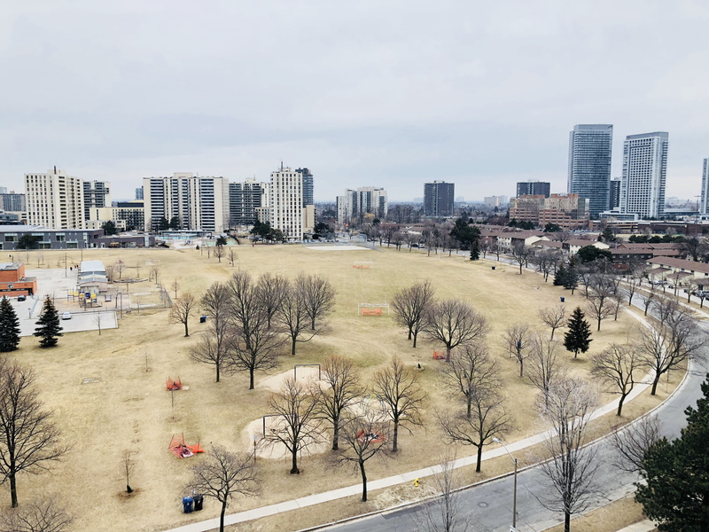 4K, daytime, buildings, office building exterior, cityscape, cloud - sky, park, grass, sky, recreational space, brown, built structure, surrounded, skyscraper
