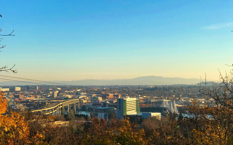 4K, outdoors, building, copy space, oregon, plant, no people, city, skyscraper, day, office building exterior, cityscape, tree, high angle view, united states
