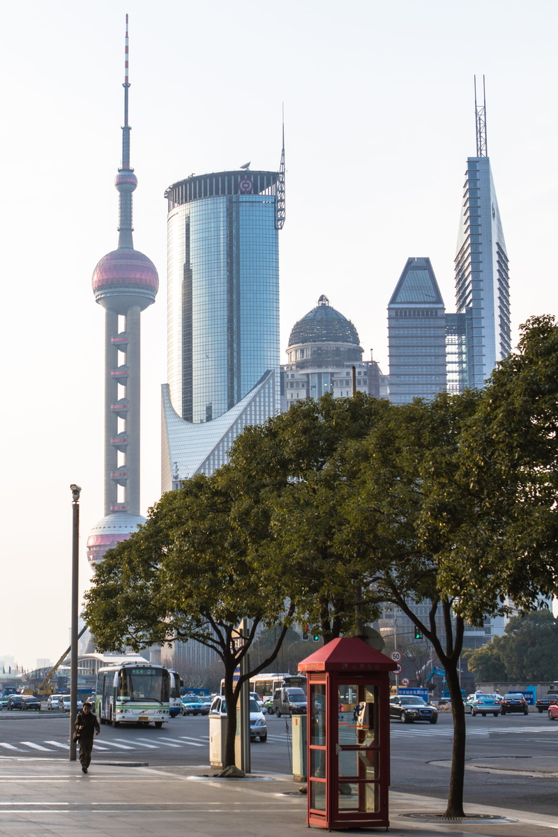 cityline, travel, tree, shanghai, built structure, building exterior, china, no people, plant, trees, transportation, high rise, travel destinations, clear sky