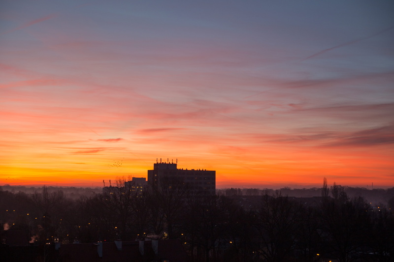 scenics - nature, orange color, cloud - sky, cold, plant, silhouette, built structure, travel destinations, skyporn, sunset, wrocław, sky, early morning
